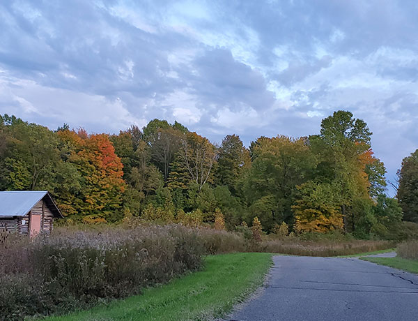Laporte Vacation Rentals